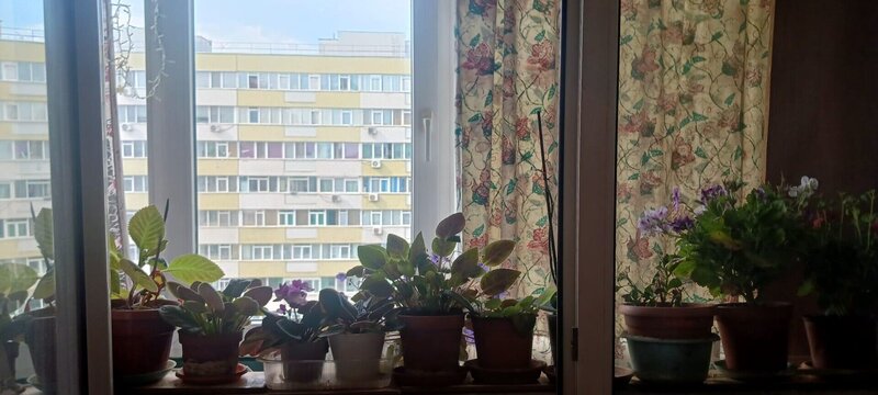 Pantelimon  vanzare ap. 3 cam dec