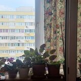 Pantelimon  vanzare ap. 3 cam dec